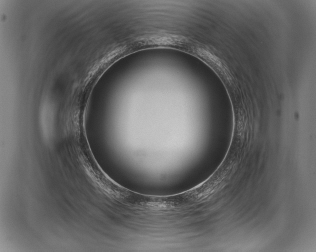 X0000086240394200703291400