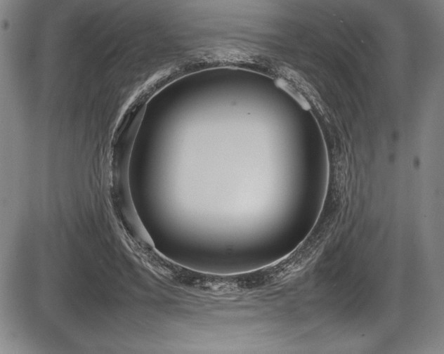 X0000086240395200703291400