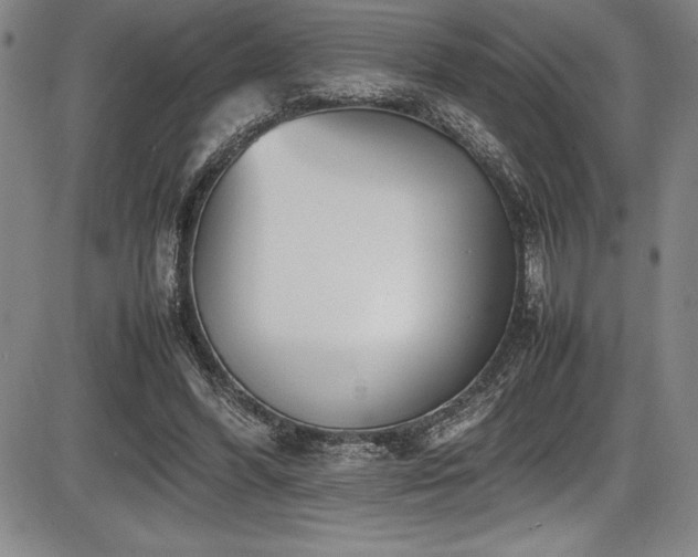 X0000086240396200703291400