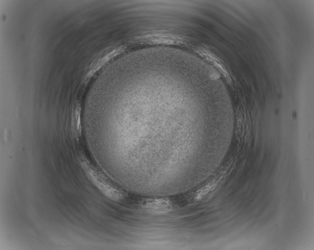 X0000086240398200703291400