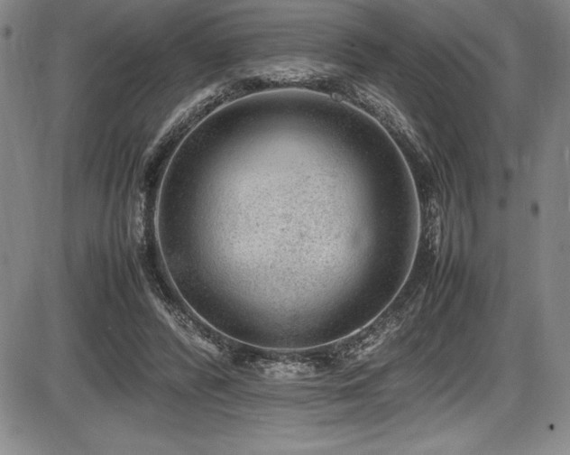 X0000086240400200703291400