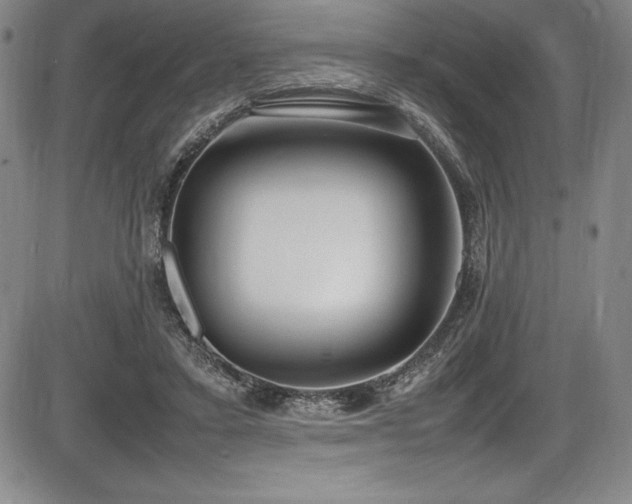 X0000086240403200703291400