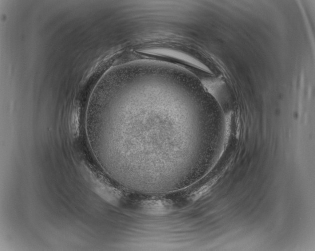 X0000086240404200703291400
