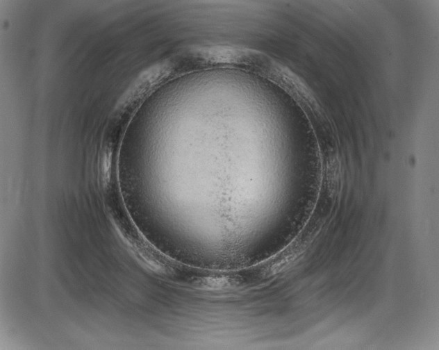 X0000086240406200703291400