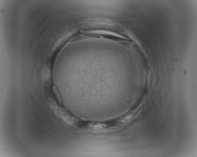 X0000086240407200703291400