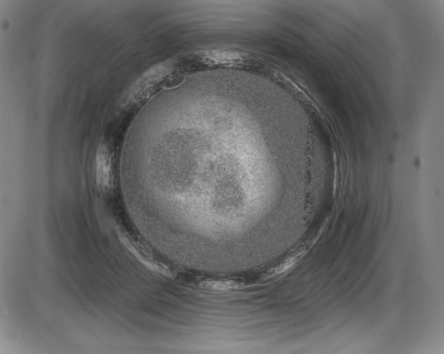 X0000086240408200703291400