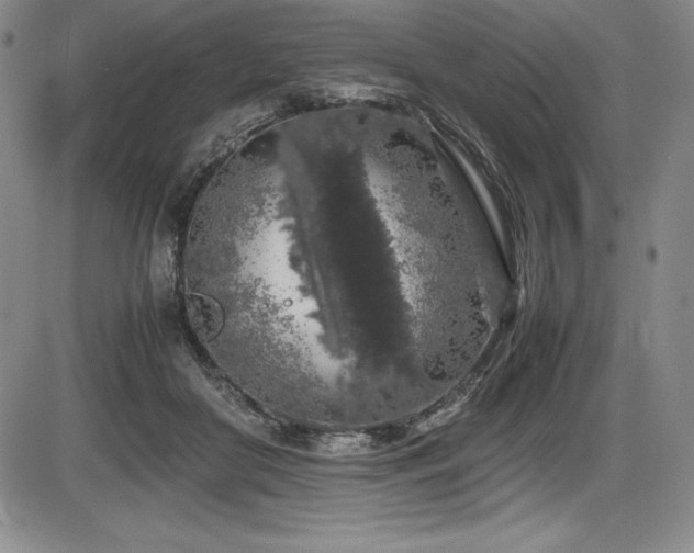 X0000086240410200703291400