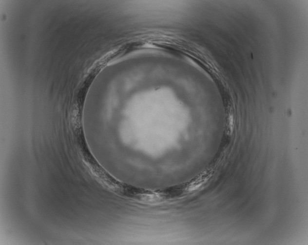 X0000086240411200703291400