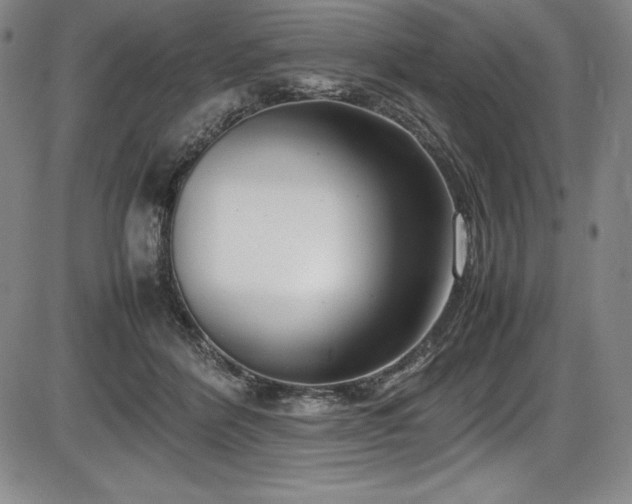 X0000086240412200703291400