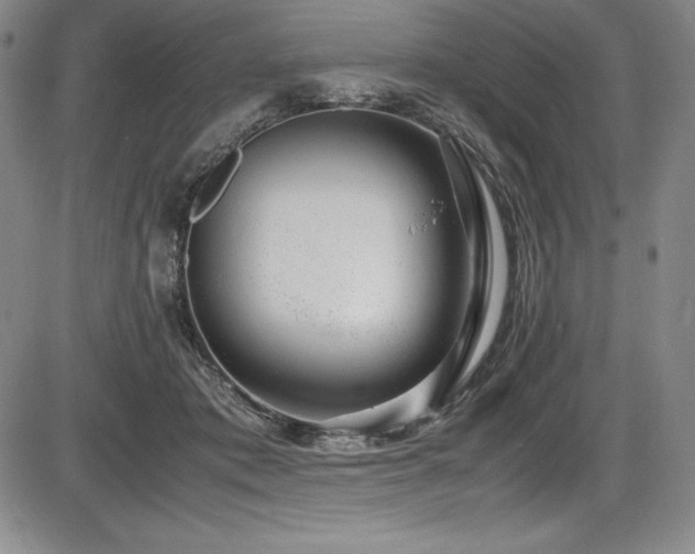 X0000086240413200703291400