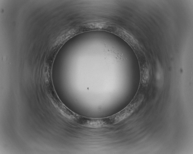 X0000086240414200703291400