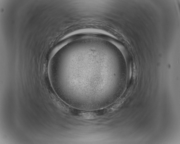 X0000086240417200703291400
