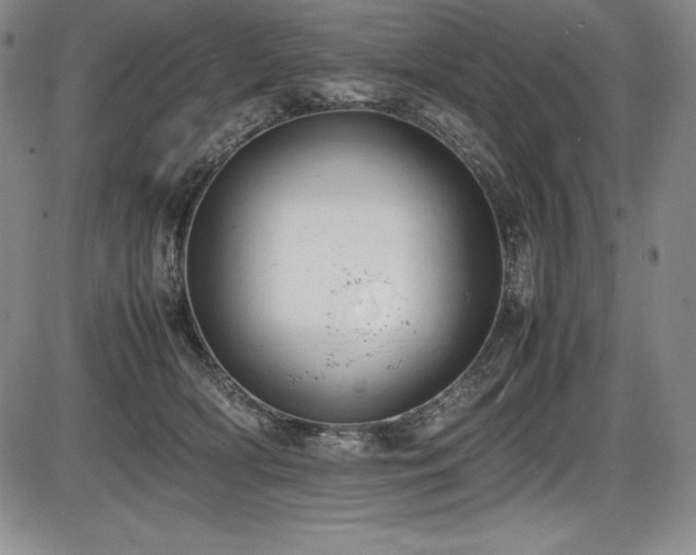 X0000086240418200703291400