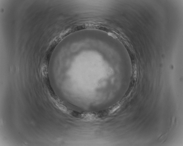 X0000086240419200703291400