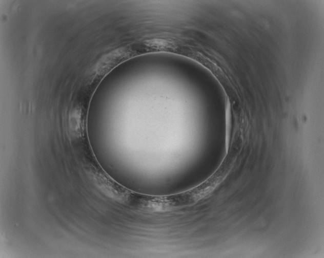 X0000086240420200703291400