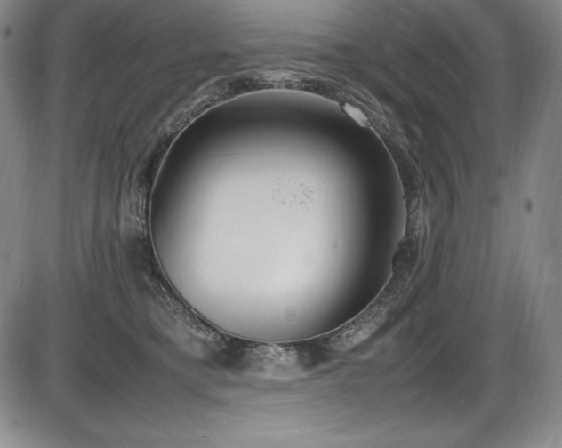 X0000086240421200703291400