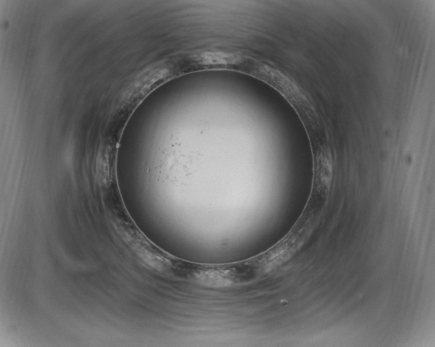 X0000086240422200703291400