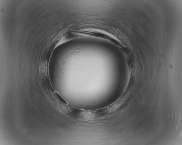 X0000086240425200703291400