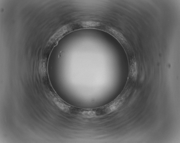 X0000086240426200703291400