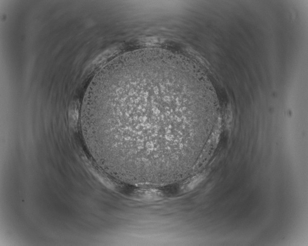 X0000086240427200703291400