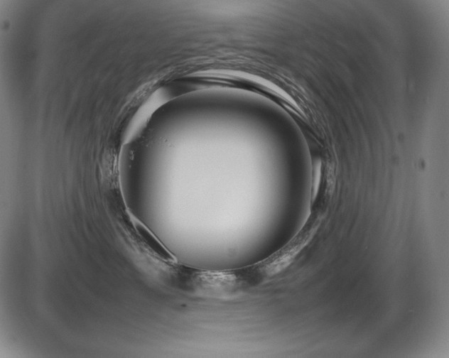 X0000086240429200703291400