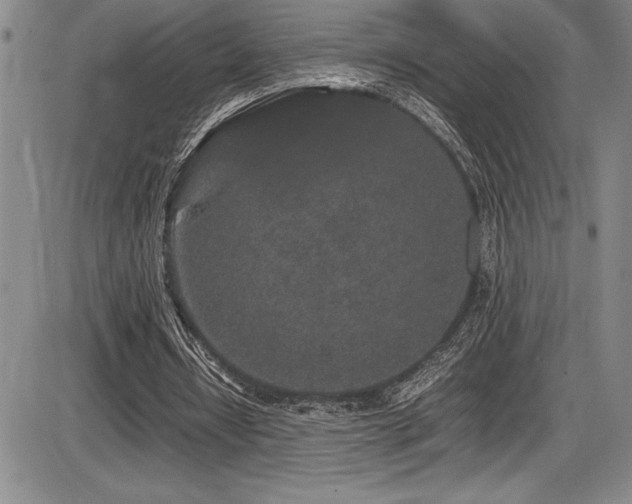 X0000086240434200703291359