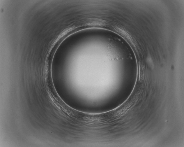 X0000086240435200703291359