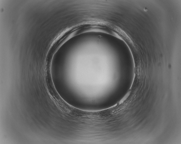 X0000086240436200703291359