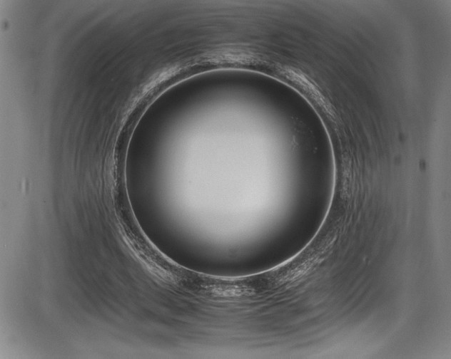 X0000086240439200703291359