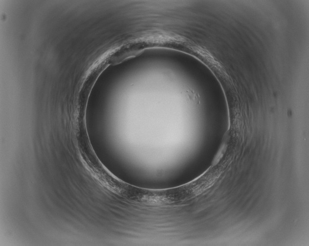 X0000086240440200703291359