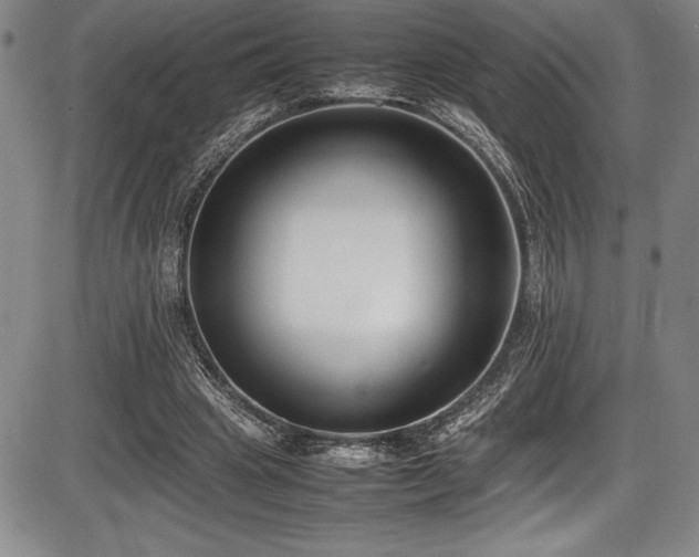 X0000086240441200703291359