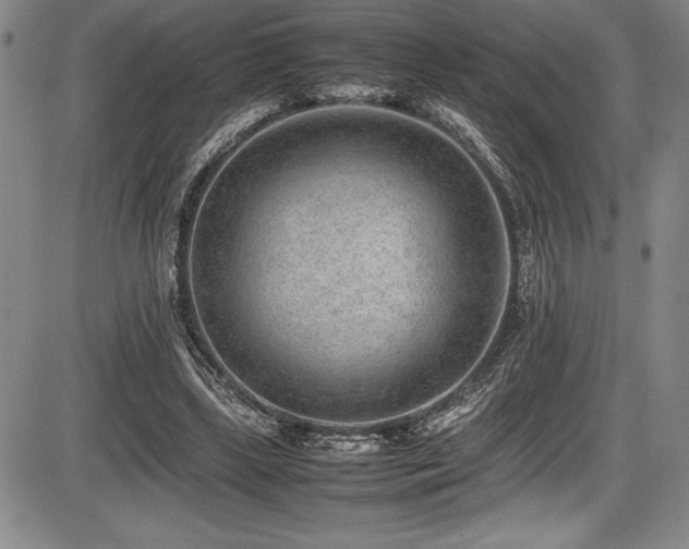 X0000086240443200703291359