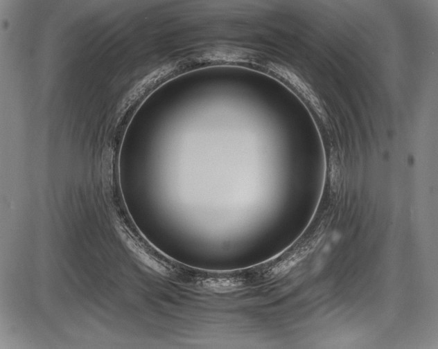 X0000086240445200703291359