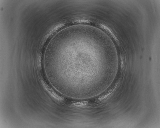 X0000086240447200703291359