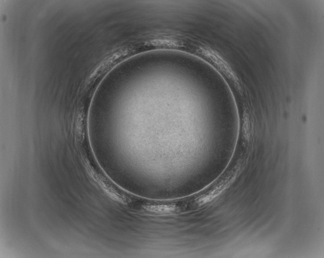 X0000086240449200703291359