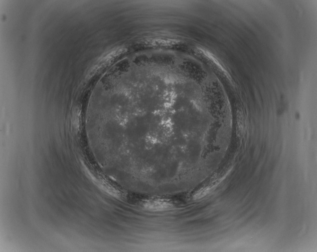 X0000086240451200703291359