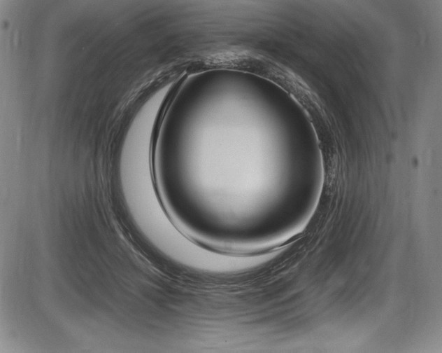 X0000086240452200703291359