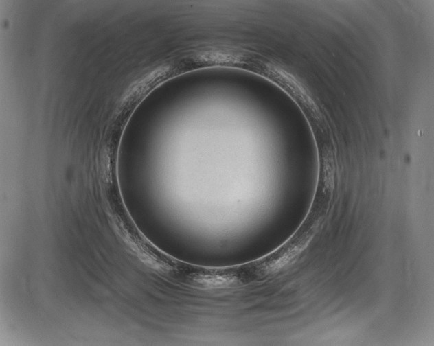 X0000086240453200703291359