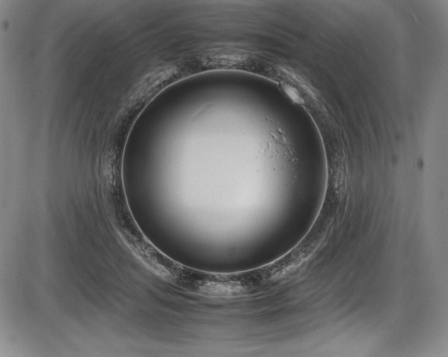 X0000086240455200703291359