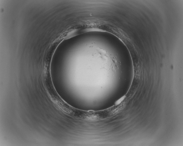 X0000086240456200703291359