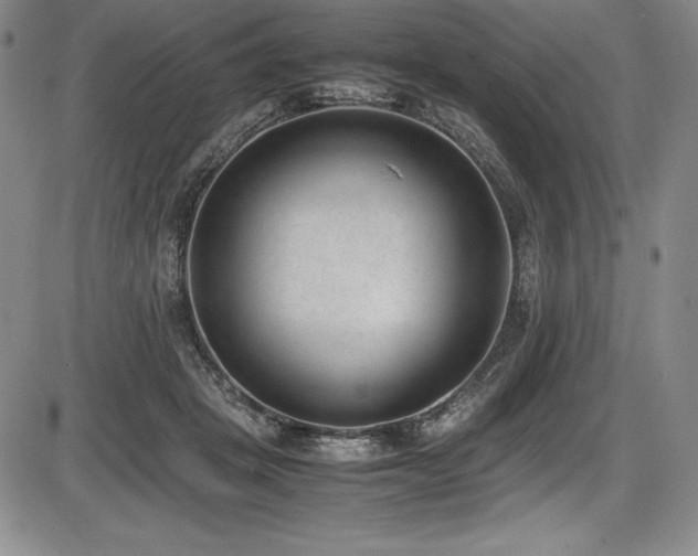 X0000086240457200703291359