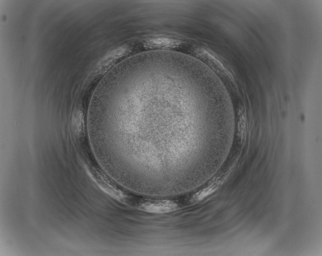 X0000086240459200703291359