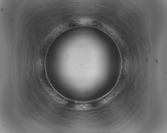 X0000086240461200703291359