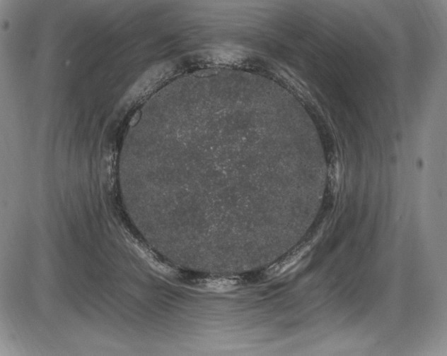X0000086240462200703291359