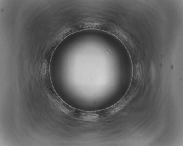 X0000086240463200703291359