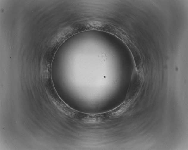 X0000086240464200703291400