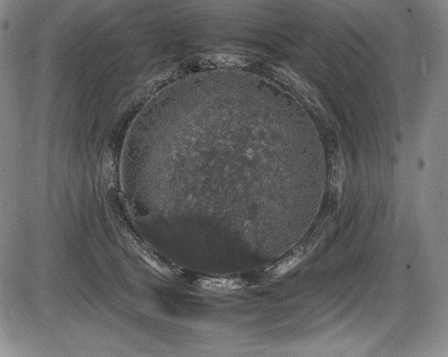 X0000086240465200703291400