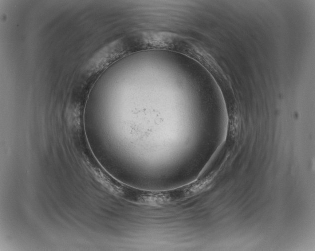 X0000086240466200703291400
