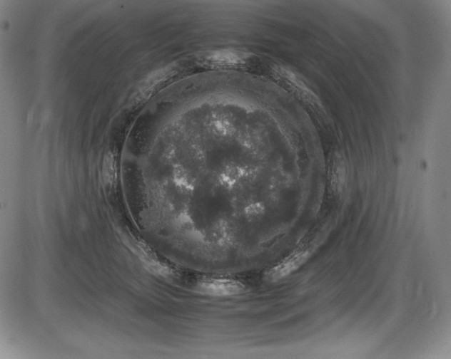 X0000086240467200703291400