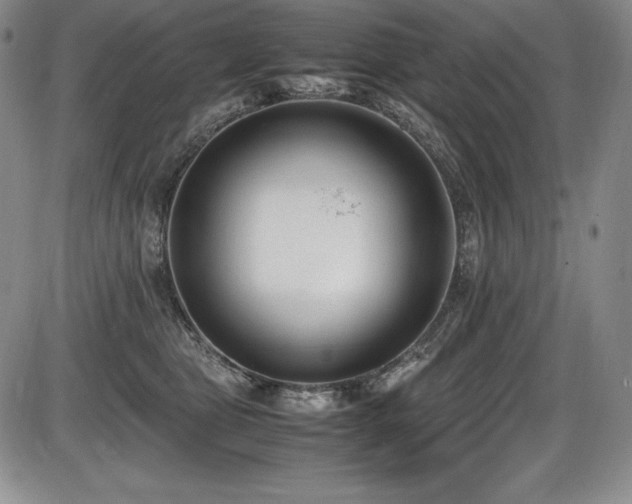 X0000086240469200703291400